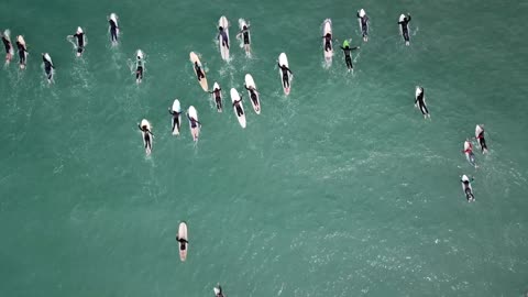 Surfing competition