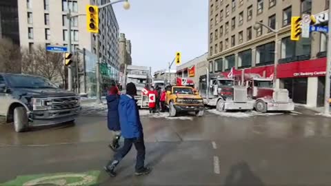 Freedom Truckers Convoy 2022 Feb 1st In Ottawa