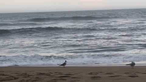 Beachfront at Virginia Beach VA Area