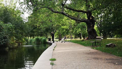 #trees #birds #riverside #river #view 🙏