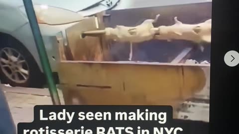 LADY COOKING RATS IN NYC