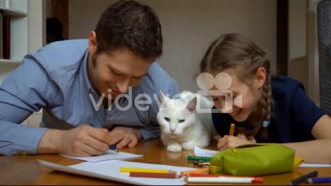 Video Of People Petting The Cat