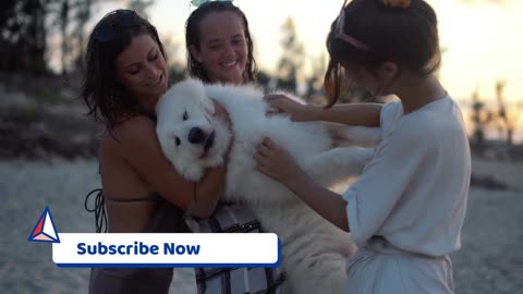 Women holding a Dog