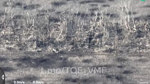 Russian Marines storm the trenches of the Armed Forces of Ukraine near Ugledar