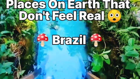 Places On Earth That Don't Feel Real - Brazil 🌴🍄 / #brazil #nature #naturelovers