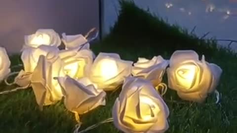 20 White Rose Flower Fairy Lights