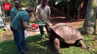 Cheers as one of Durban zoo’s oldest resident turns 120 years