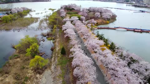 Nature is beautiful ❤.......Droneshot