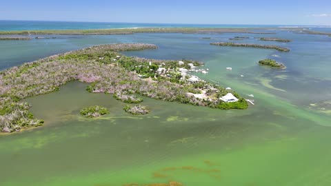 CABBAGE KEY ISLAND, FLORIDA - @DJI DRONE FLYOVER