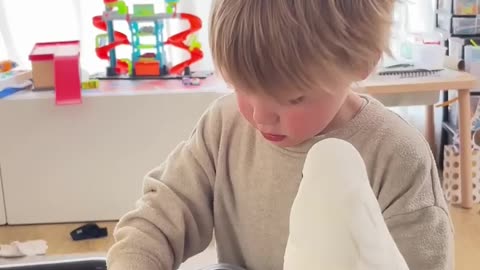 Marni the Cockatoo wants to steal Rémi's home baked cookies