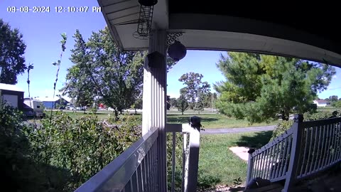 Gary Groundhog Stole My Package