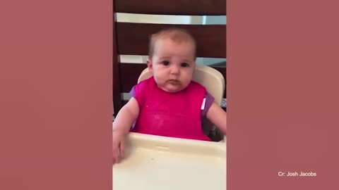 Cutest Baby Doing Hilarious Things _ Funny Baby Videos