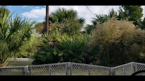 Hunting Island State Park SC Campground walk around