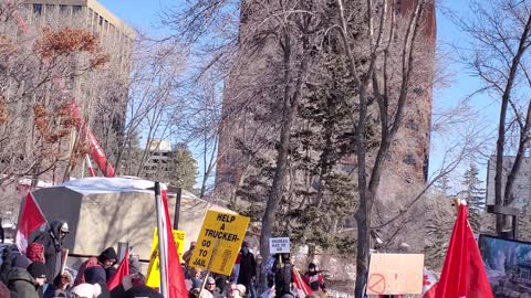 Canadians at Freedom Protest sing 'Oh Canada' in solidarity