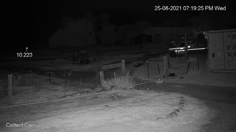 iAiming iA-317 Thermal Scope - Good Cat CCTV footage