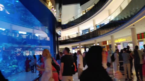 Beautiful views of the Dubai Mall | UAE