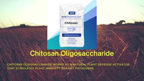 Chitosan Oligosaccharides