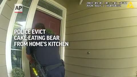 Police evict cake-eating bear from home's kitchen