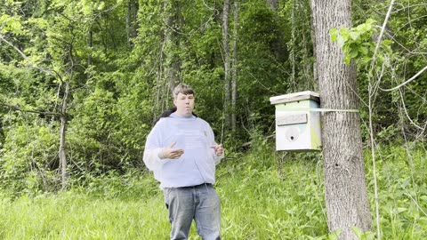 Consider an Observation Hive to Safely Get Closer to Honeybees!