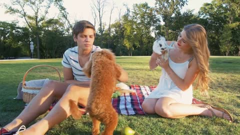 Happy young couple on picnic resting playing with dog and rabbit