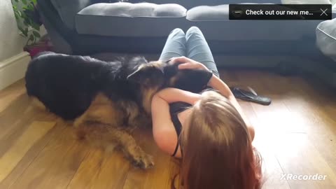 Dog and gril together play