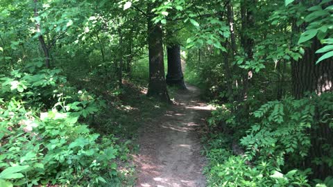 Toronto high Park trail