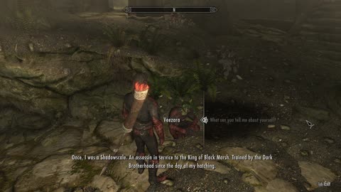 Skyrim Special Edition dark brotherhood members conversation