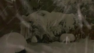 Spring snow in very snowy Colorado