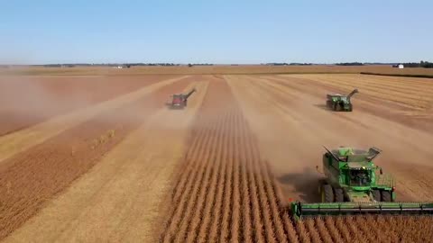 Amazing Machine Help Farmer Harvest Their Soybean