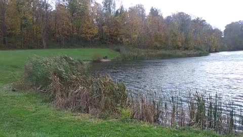 Indigo Lake & Train Depot CVNP