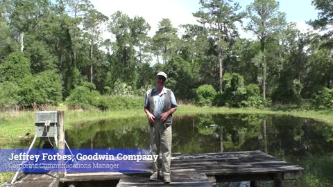 Historic Preservation Month: Gainesville, FL Firestone Building and Matheson Museum Revisited