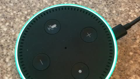 Ominous Report by Amazon Alexa