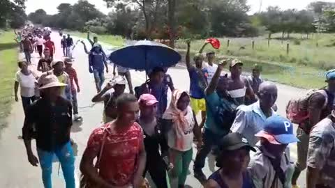 Campesinos de Bolívar marcharon desde María la Baja a Turbaco pidiendo garantías