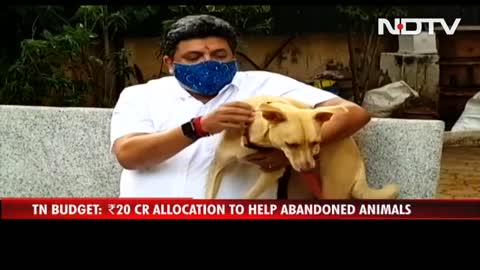 Rs. 20 Crore Allocation For Abandoned Animals In Tamil Nadu Budget