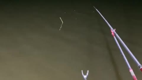 Best Technique to Catch Fish at Night 🐟 Amazing Fishing 🐟 FISHFISH