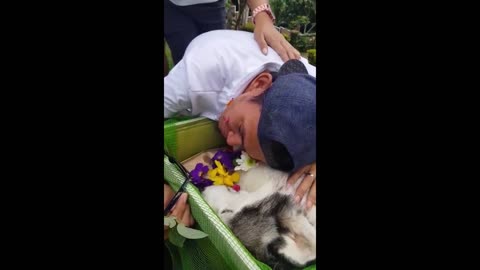 Owner Crying for Dog's Death