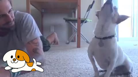 Dog doing yoga with owner