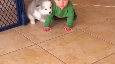 Baby 👶 and cute dog 🐶 #foryoupage #4u #animlas #cuteanimals #viral #4upage #wee #cutie #viral