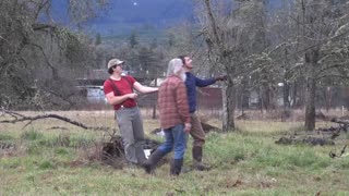 Felling the Pine Tree