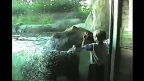 Kids AT The zoo: compilation