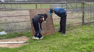 Hard Boiled Egg cannon launch