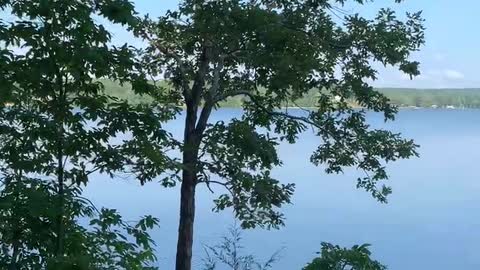 Relaxing horseback ride along the Coosa River