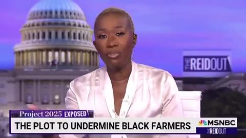 CRAZY: Joy Reid Defends Anti-White Racism In Shocking Clip