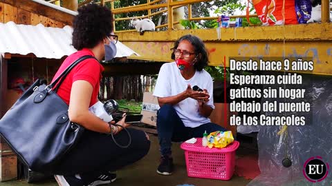 Esperanza y los gatos del puente de Los Caracoles