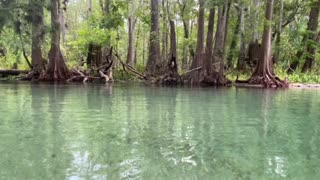 Ichetucknee Springs float trip