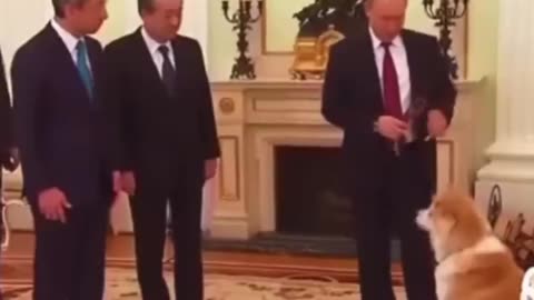 In 2016, Putin brought his dog to intimidate Japanese journalists before an interview