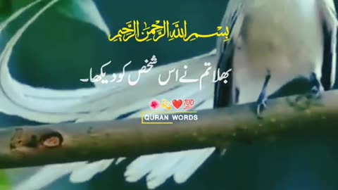 #Islamic video