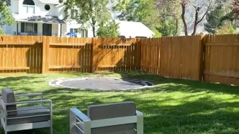 Doggo Playing Fetch Runs into Outdoor Furniture