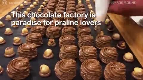 French Chocolate Factory Is Praline Paradise_batch