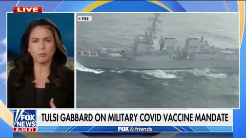 Tulsi Gabbard: this is absolute madness